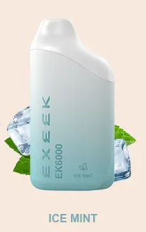 Exeek EK6000 Disposable IceMint best vape in dubai